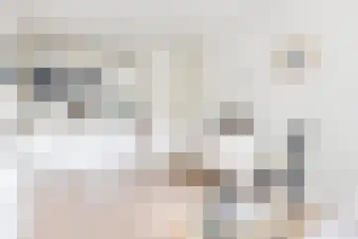 Westerkade 10 H Amsterdam thumbnail 6
