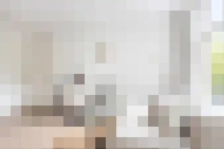 Westerkade 10 H Amsterdam thumbnail 7