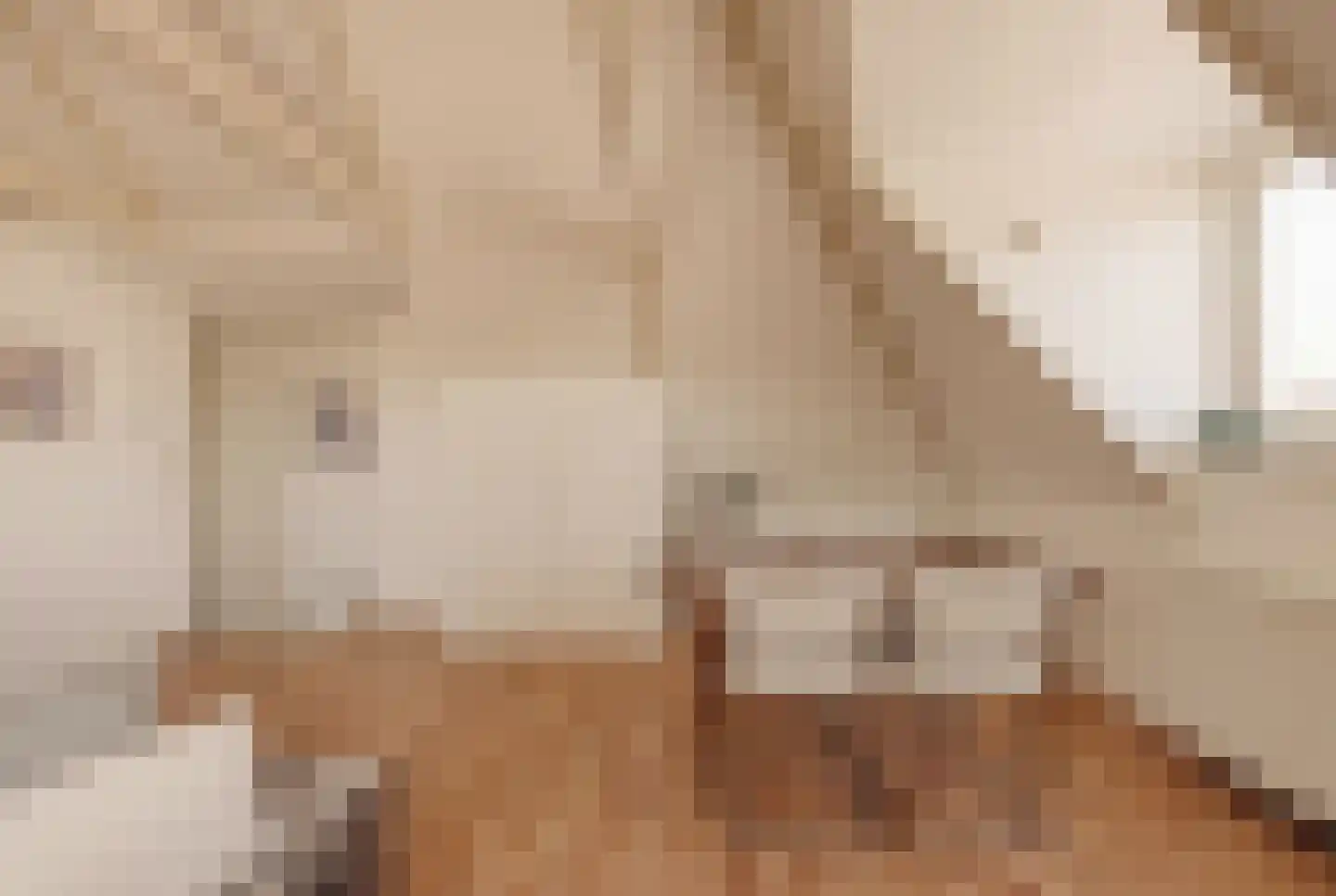 Westerkade 10 H Amsterdam thumbnail 9
