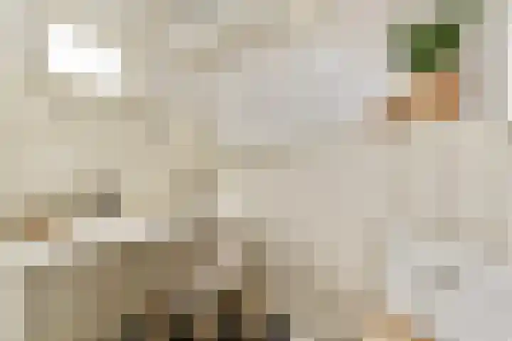 Westerkade 11 F Amsterdam thumbnail 13