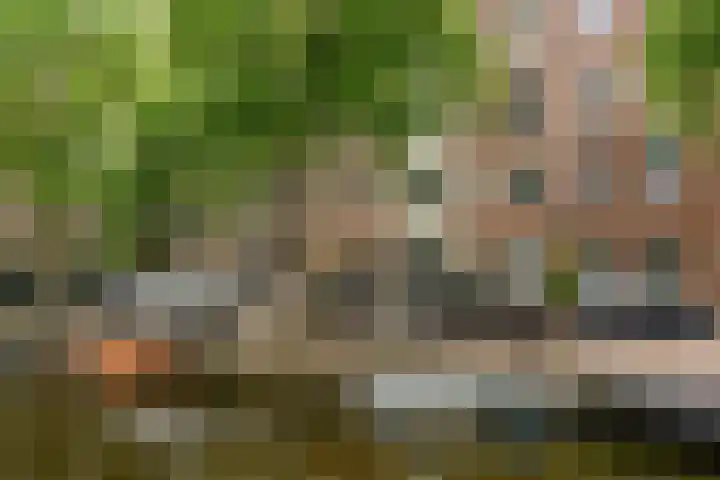 Westerkade 12 K Amsterdam thumbnail 10