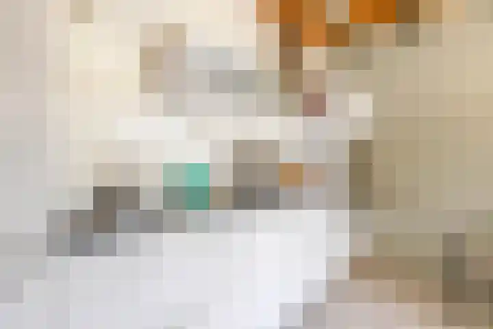 Westerkade 2 109 Gouda thumbnail 17