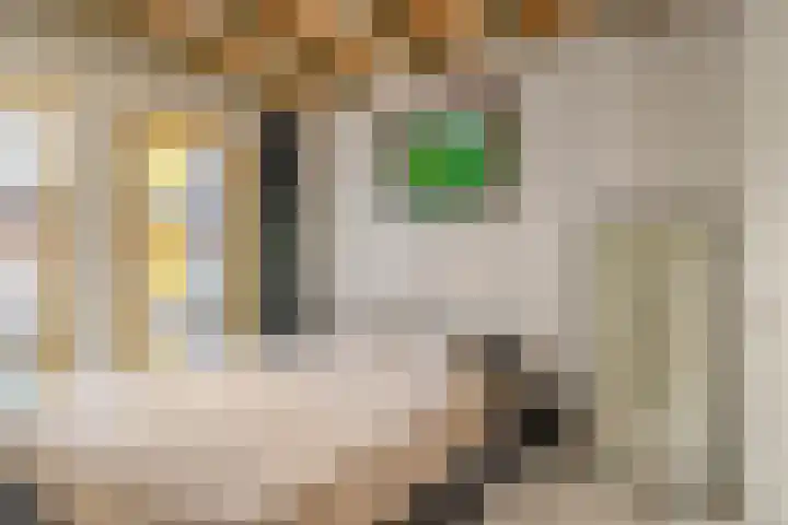 Westerkade 2 109 Gouda thumbnail 29