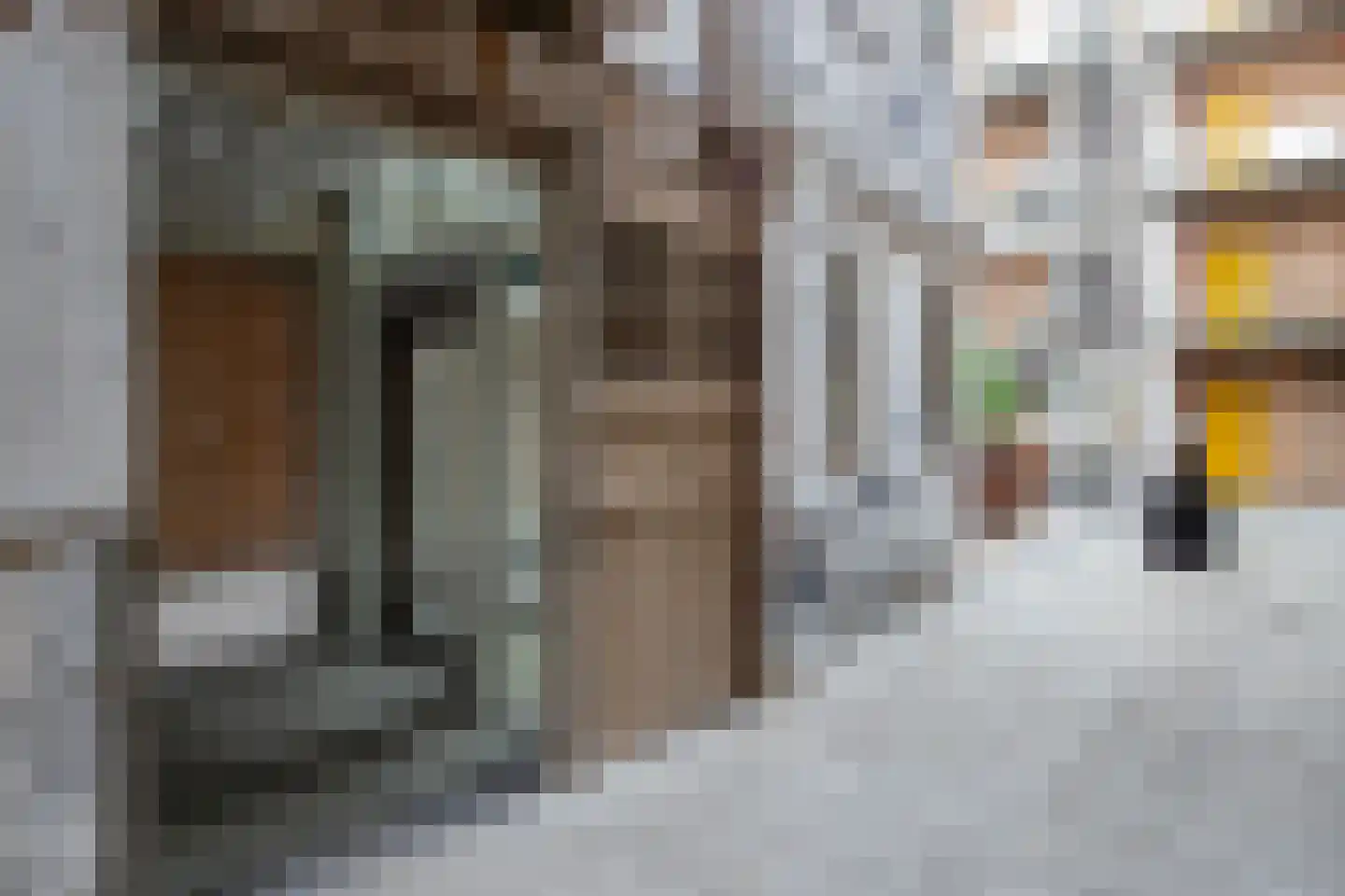 Westerkade 2 311 Gouda thumbnail 59
