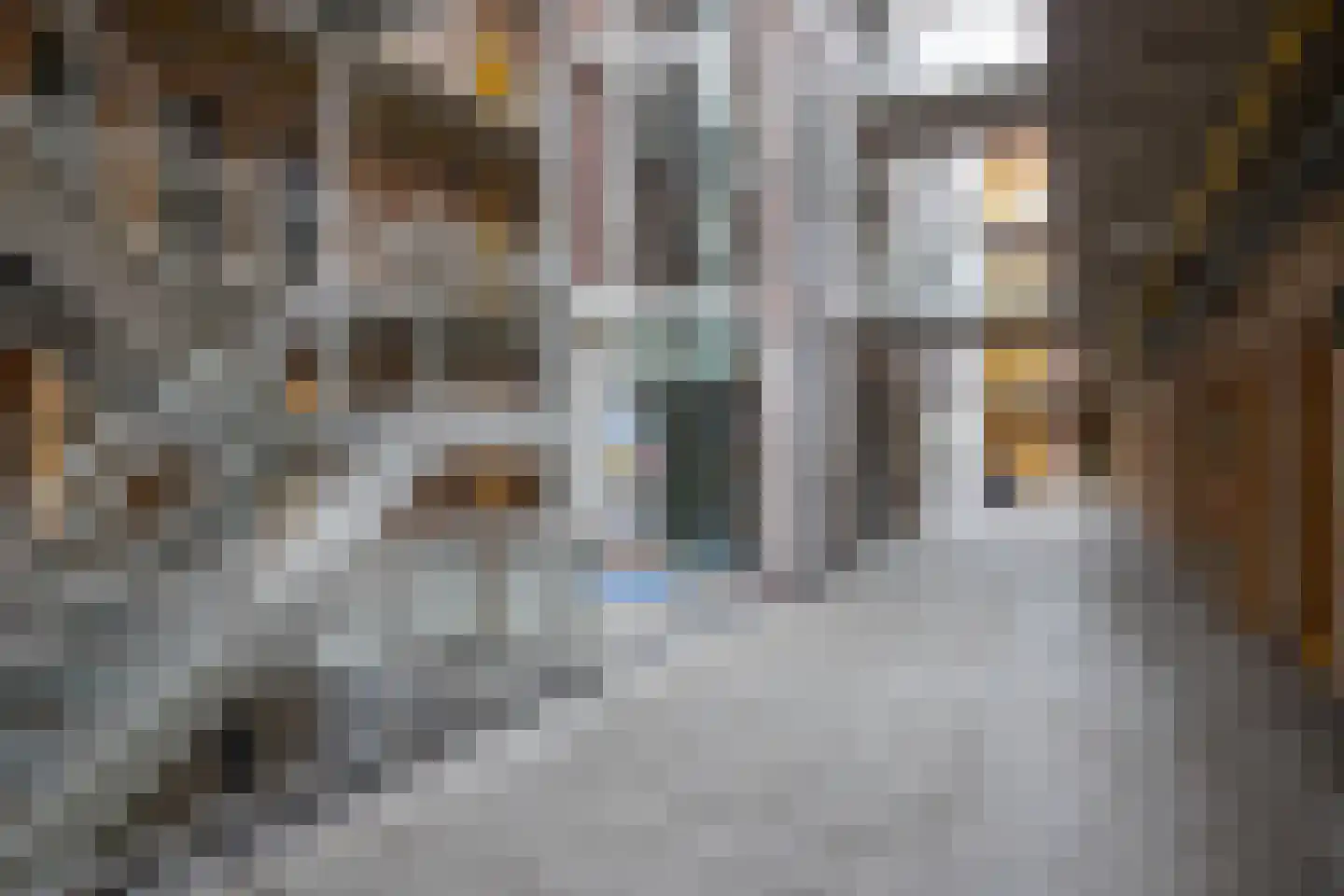 Westerkade 2 311 Gouda thumbnail 65