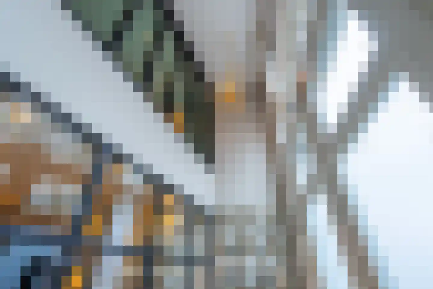 Westerkade 2 Schiedam thumbnail 10