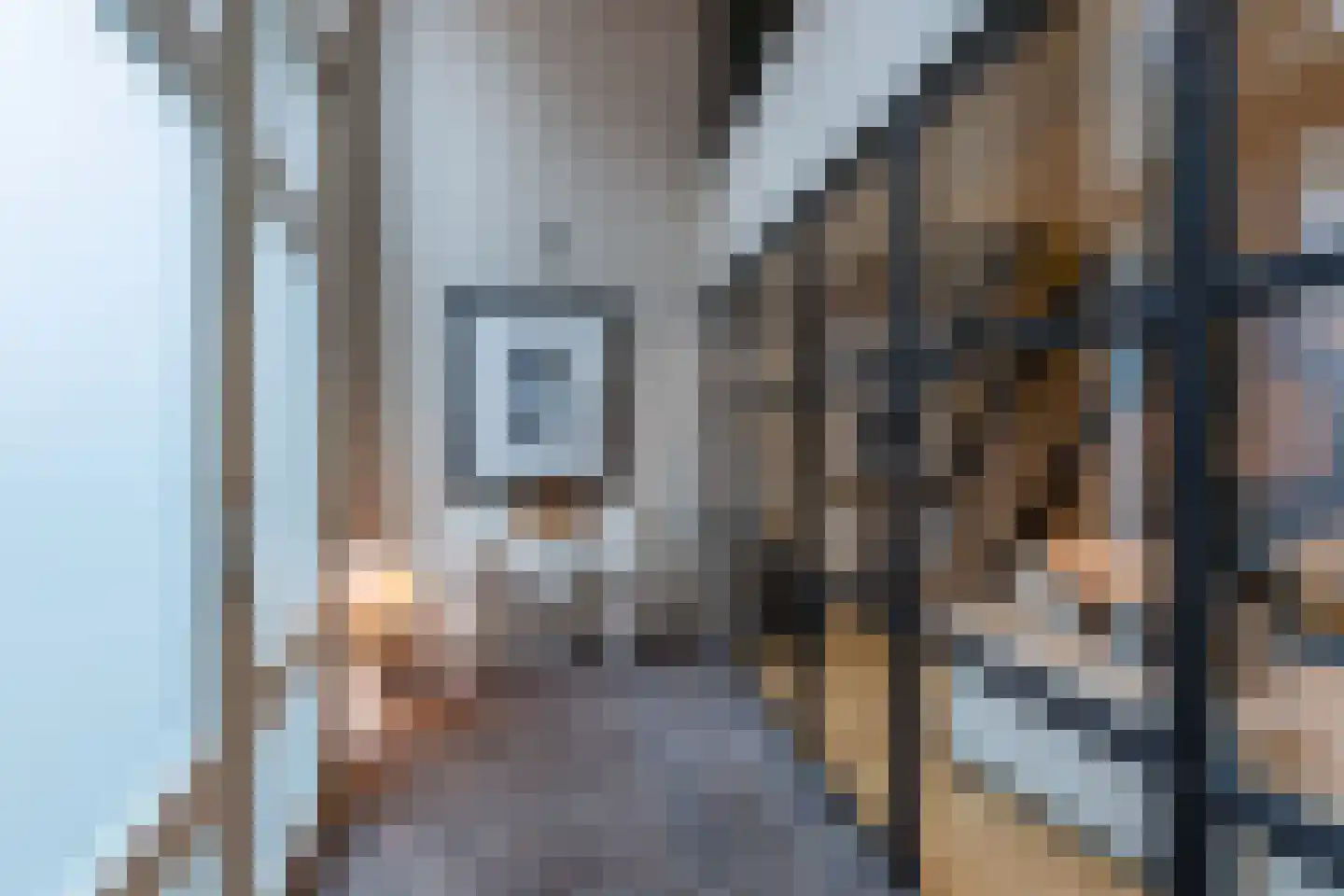 Westerkade 2 Schiedam thumbnail 8