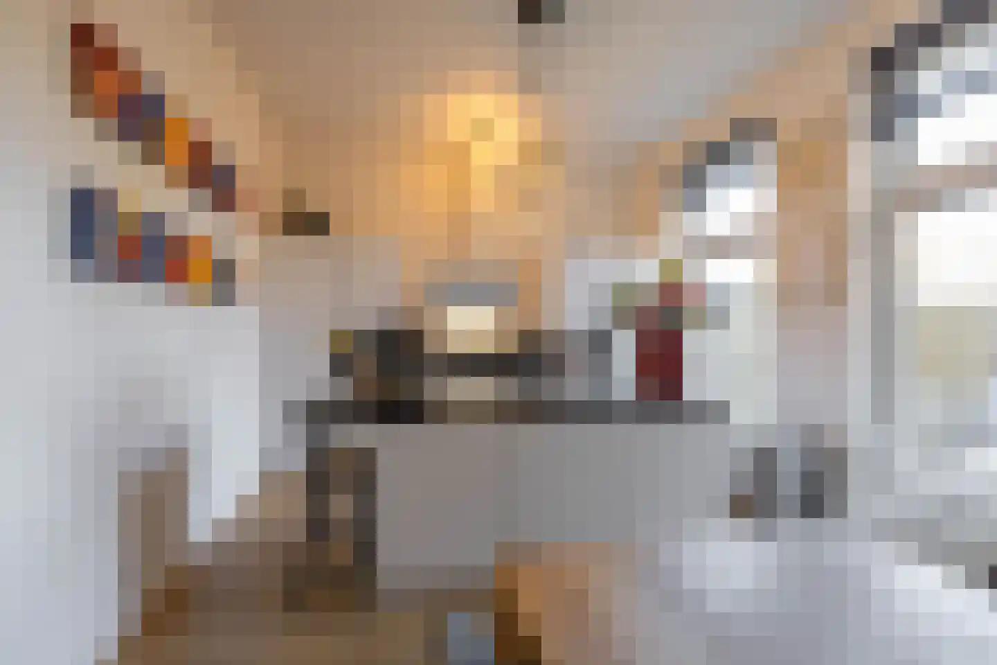 Westerkade 20 Groningen thumbnail 12