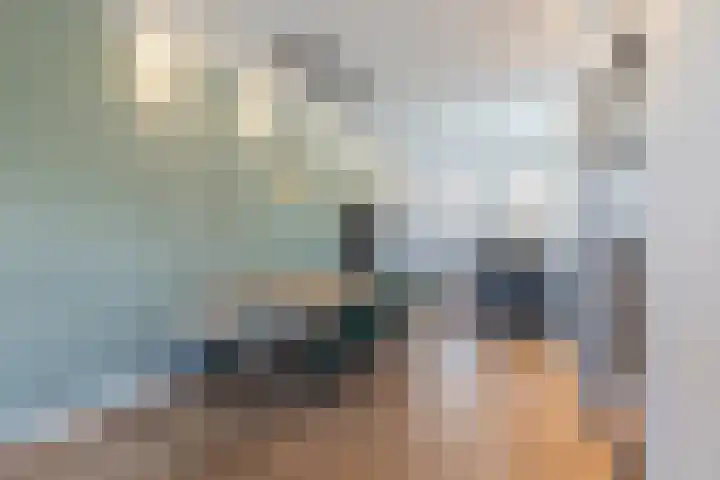 Westerkade 4 BS Utrecht thumbnail 10