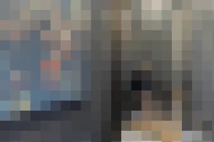 Westerkade 4 BS Utrecht thumbnail 20
