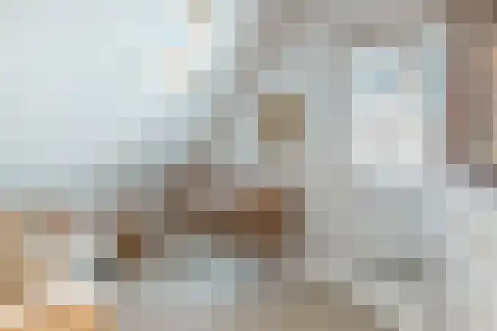 Westerkade 4 BS Utrecht thumbnail 30