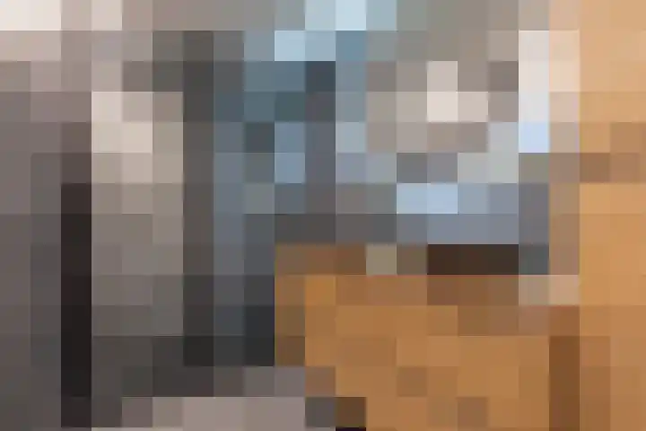 Westerkade 4 BS Utrecht thumbnail 33