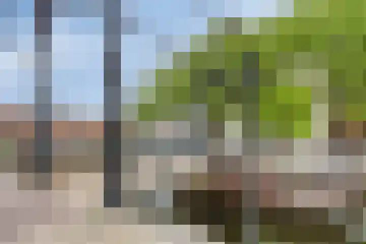 Westerkade 6 G Schiedam thumbnail 33