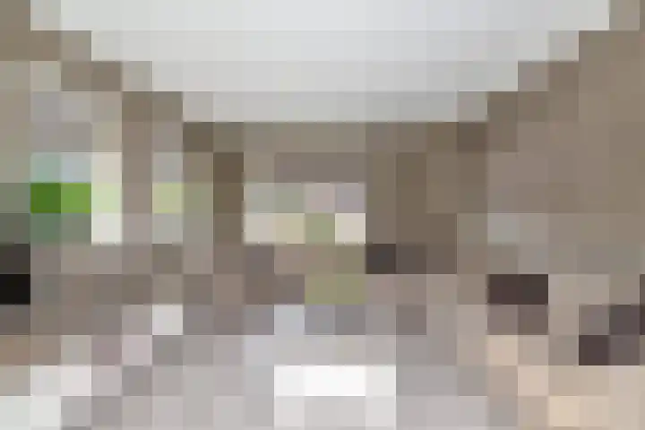 Westerkamp 18 Sellingen thumbnail 10