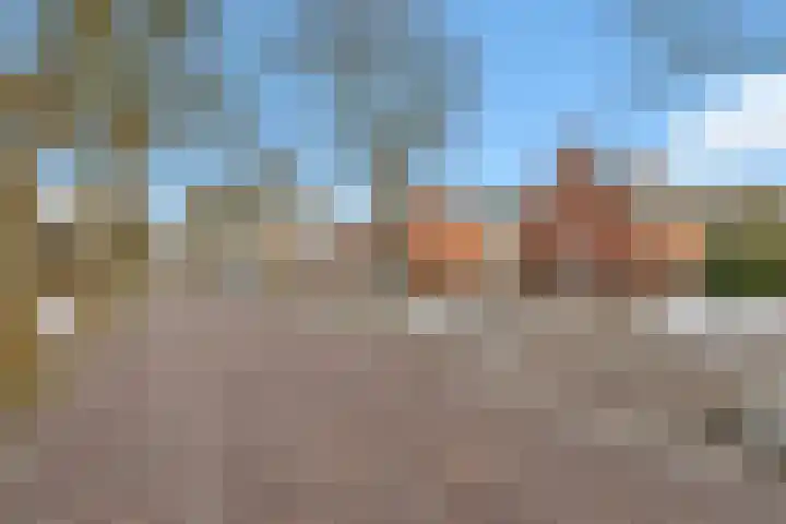 Westerkamp 18 Sellingen thumbnail 4