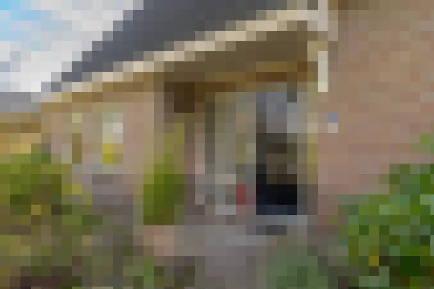 Westerkampen 3 Elp thumbnail 10