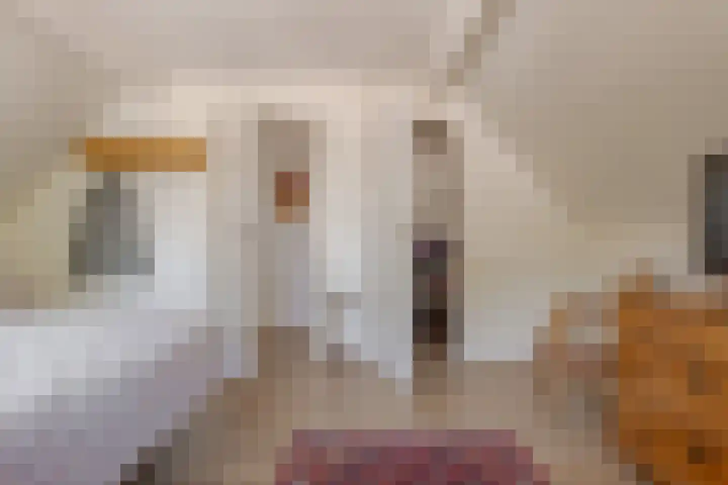 Westerkampen 3 Elp thumbnail 38