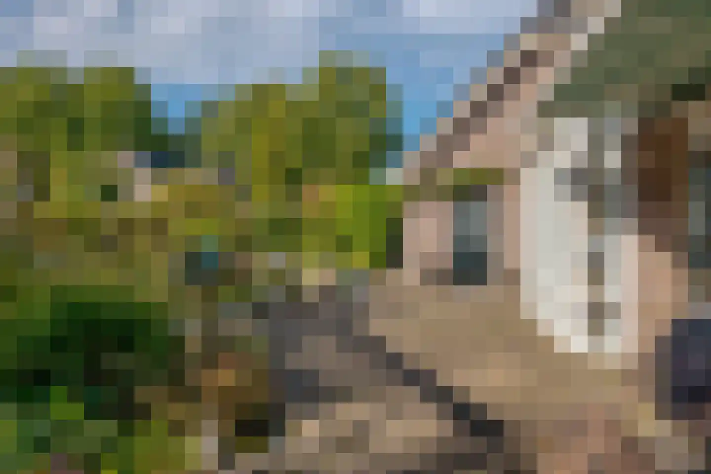 Westerkampen 3 Elp thumbnail 55