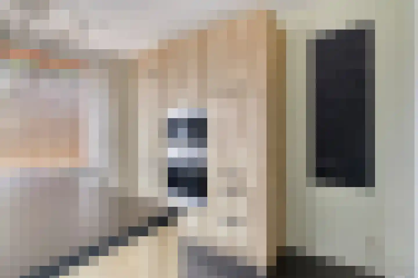 Westerkerkweg 103 Venhuizen thumbnail 16