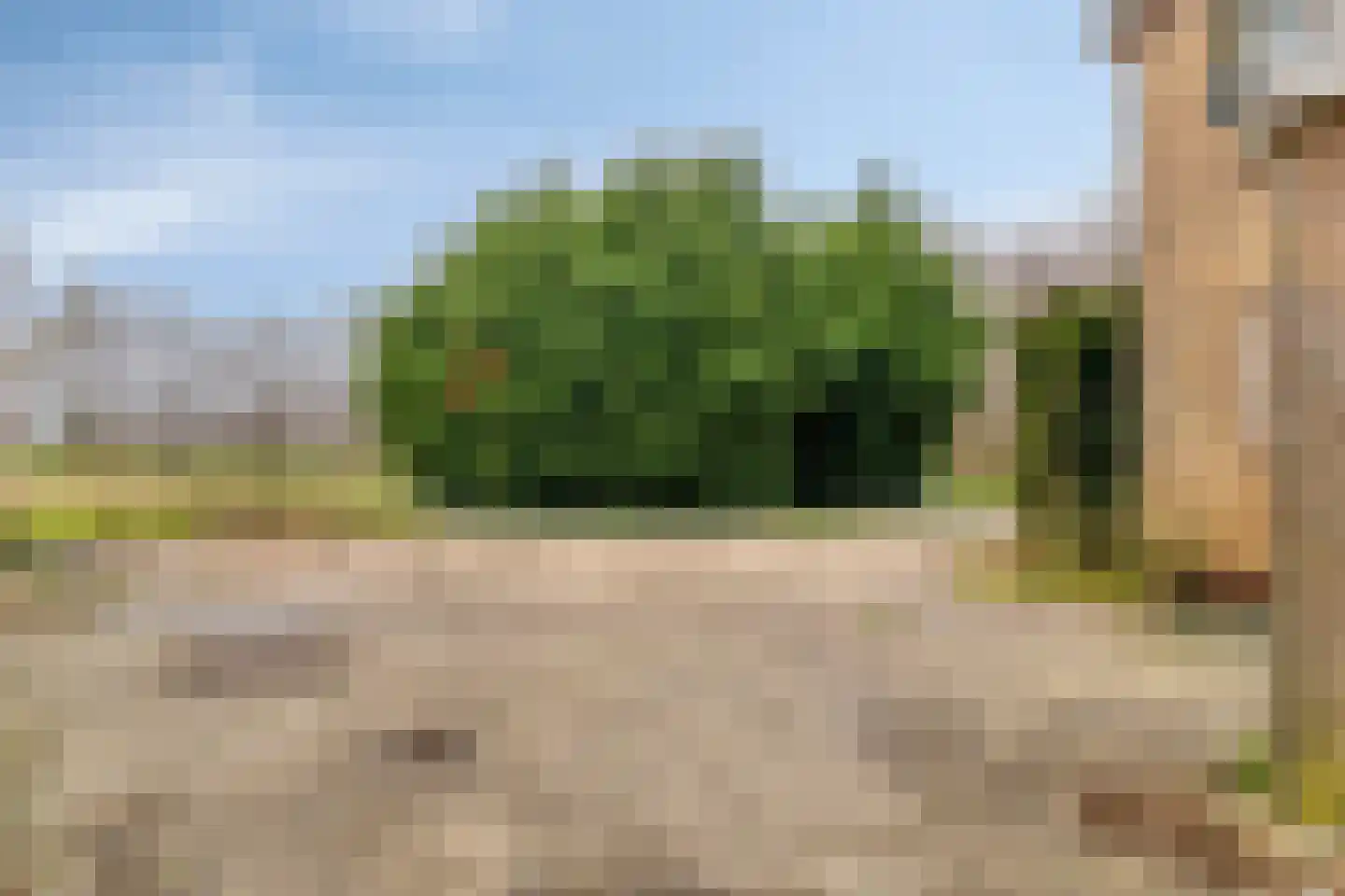Westerkerkweg 103 Venhuizen thumbnail 38