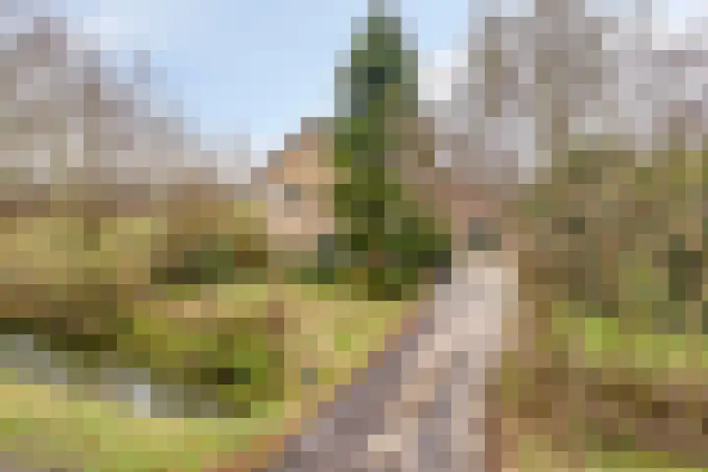 Westerkerkweg 103 Venhuizen thumbnail 5