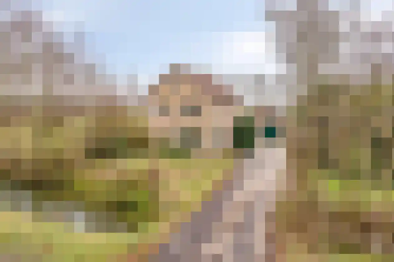 Westerkerkweg 103 Venhuizen thumbnail 6