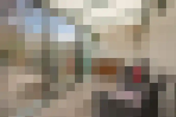 Westerkerkweg 8 Venhuizen thumbnail 15