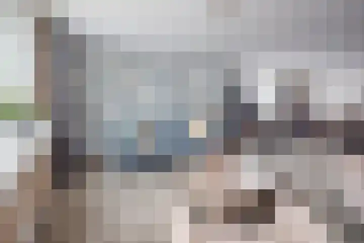Westerkerkweg 8 Venhuizen thumbnail 18