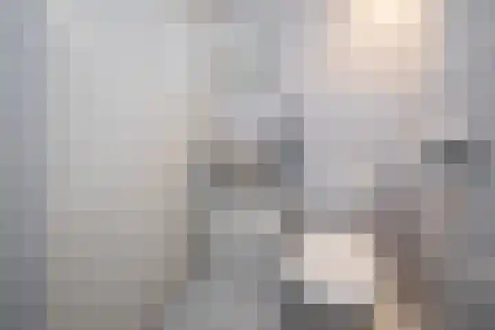 Westerkerkweg 8 Venhuizen thumbnail 21