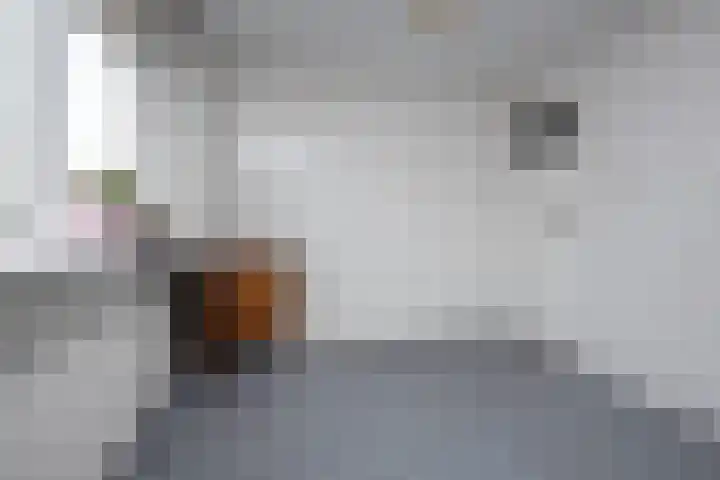 Westerkerkweg 8 Venhuizen thumbnail 27