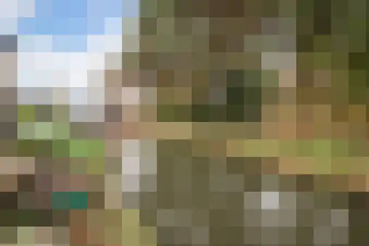 Westerkerkweg 8 Venhuizen thumbnail 30