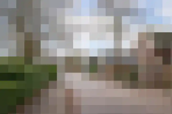 Westerkerkweg 8 Venhuizen thumbnail 36