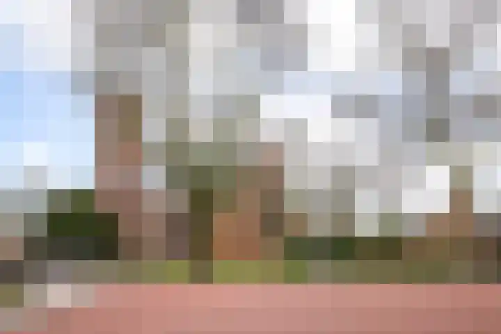 Westerkerkweg 8 Venhuizen thumbnail 37