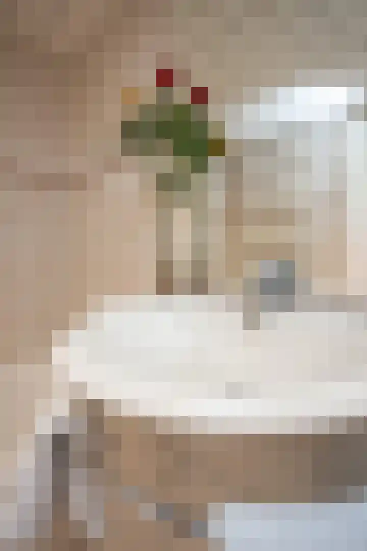 Westerkerkweg 8 Venhuizen thumbnail 39
