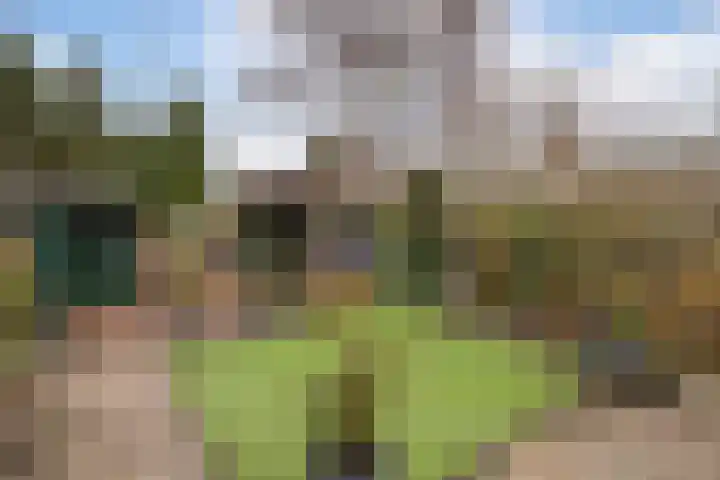 Westerkerkweg 8 Venhuizen thumbnail 4