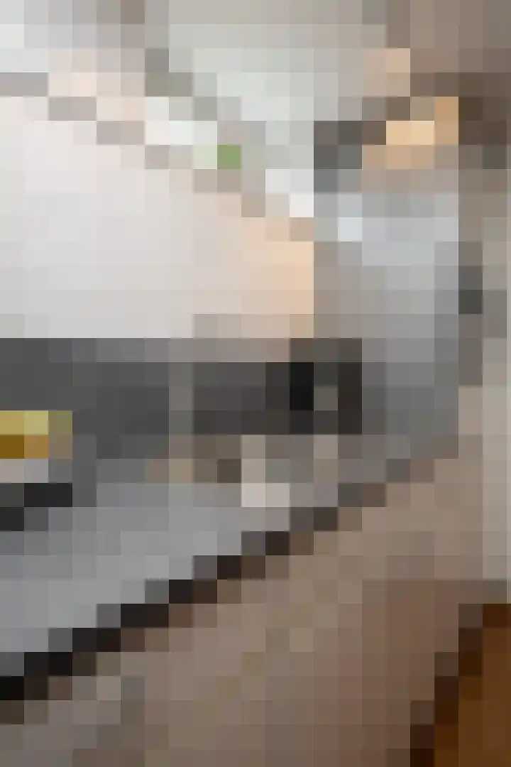 Westerkerkweg 8 Venhuizen thumbnail 41
