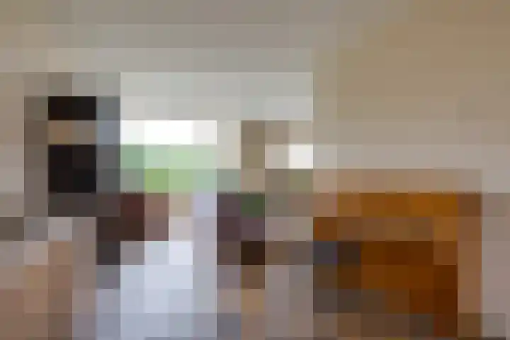 Westerkim 4 Prinsenbeek thumbnail 13