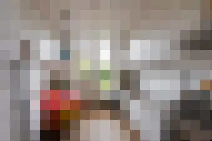 Westerkim 4 Prinsenbeek thumbnail 15