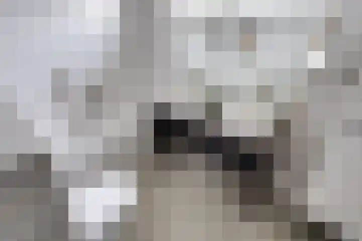 Westerkim 4 Prinsenbeek thumbnail 26