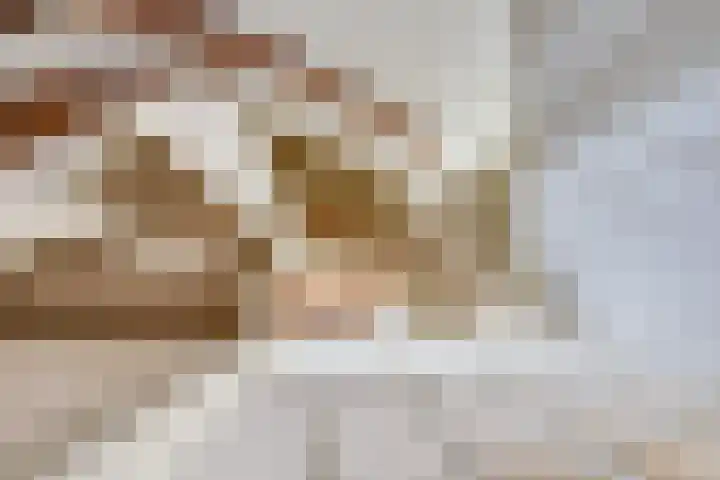 Westerkim 4 Prinsenbeek thumbnail 30