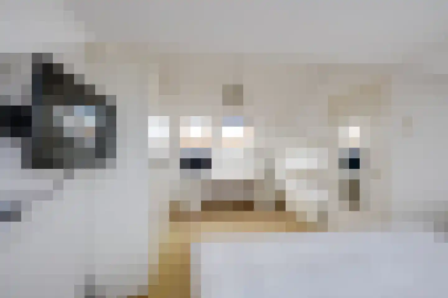 Westerkim 4 Prinsenbeek thumbnail 33
