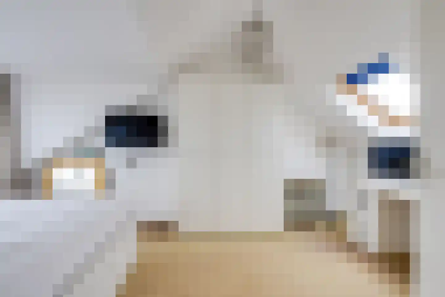 Westerkim 4 Prinsenbeek thumbnail 34