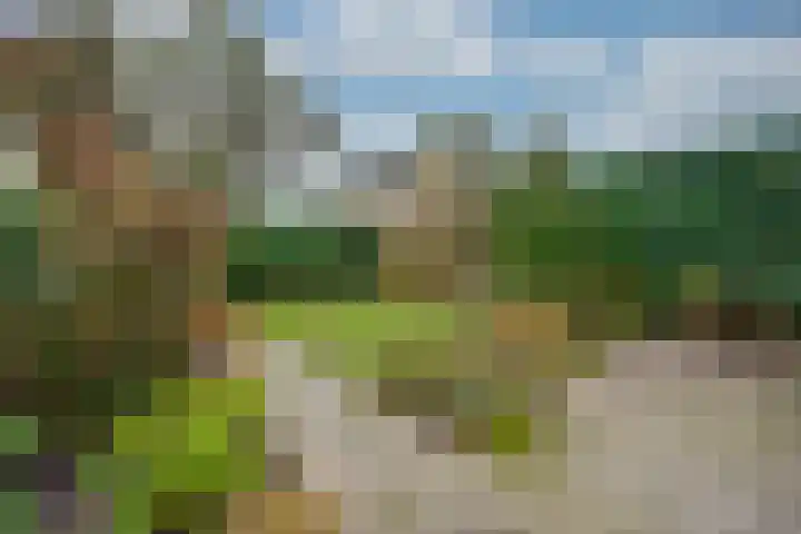 Westerkim 4 Prinsenbeek thumbnail 36