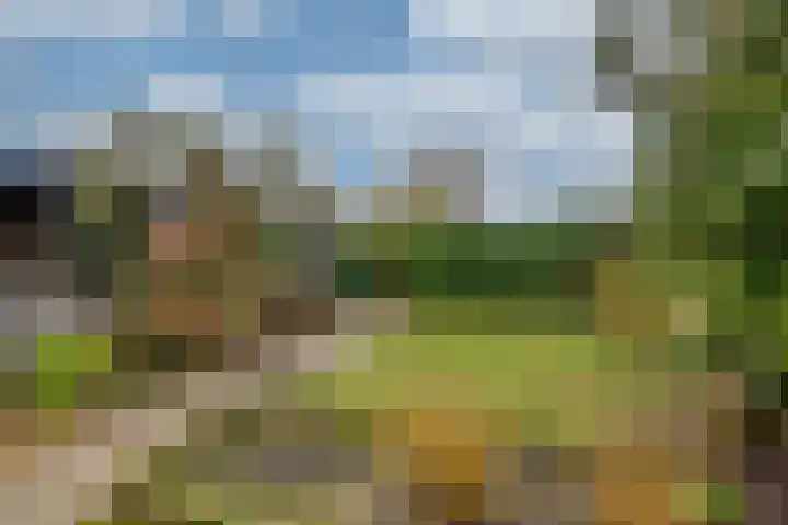 Westerkim 4 Prinsenbeek thumbnail 37