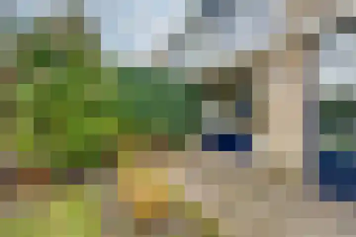 Westerkim 4 Prinsenbeek thumbnail 40