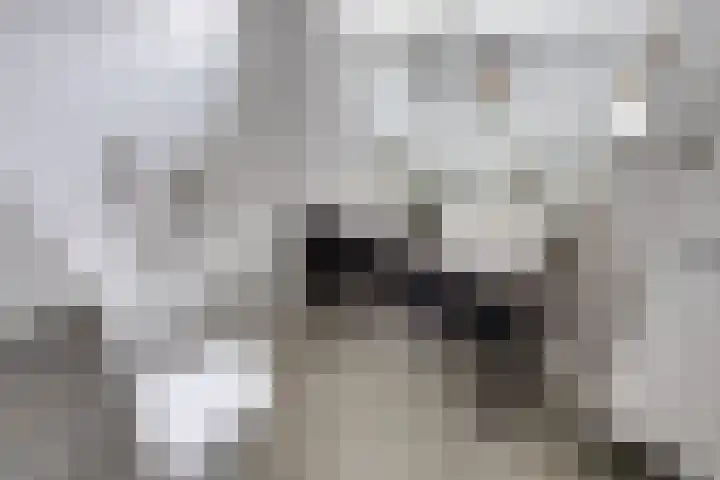 Westerkim 4 Prinsenbeek thumbnail 6