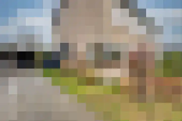 Westerkim 4 Prinsenbeek thumbnail 7