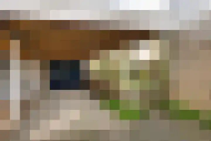 Westerkim 4 Prinsenbeek thumbnail 8
