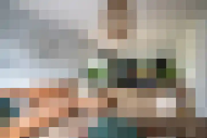 Westerkimme 28 Marknesse thumbnail 24