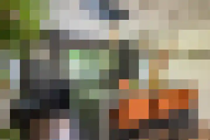 Westerkimme 28 Marknesse thumbnail 27